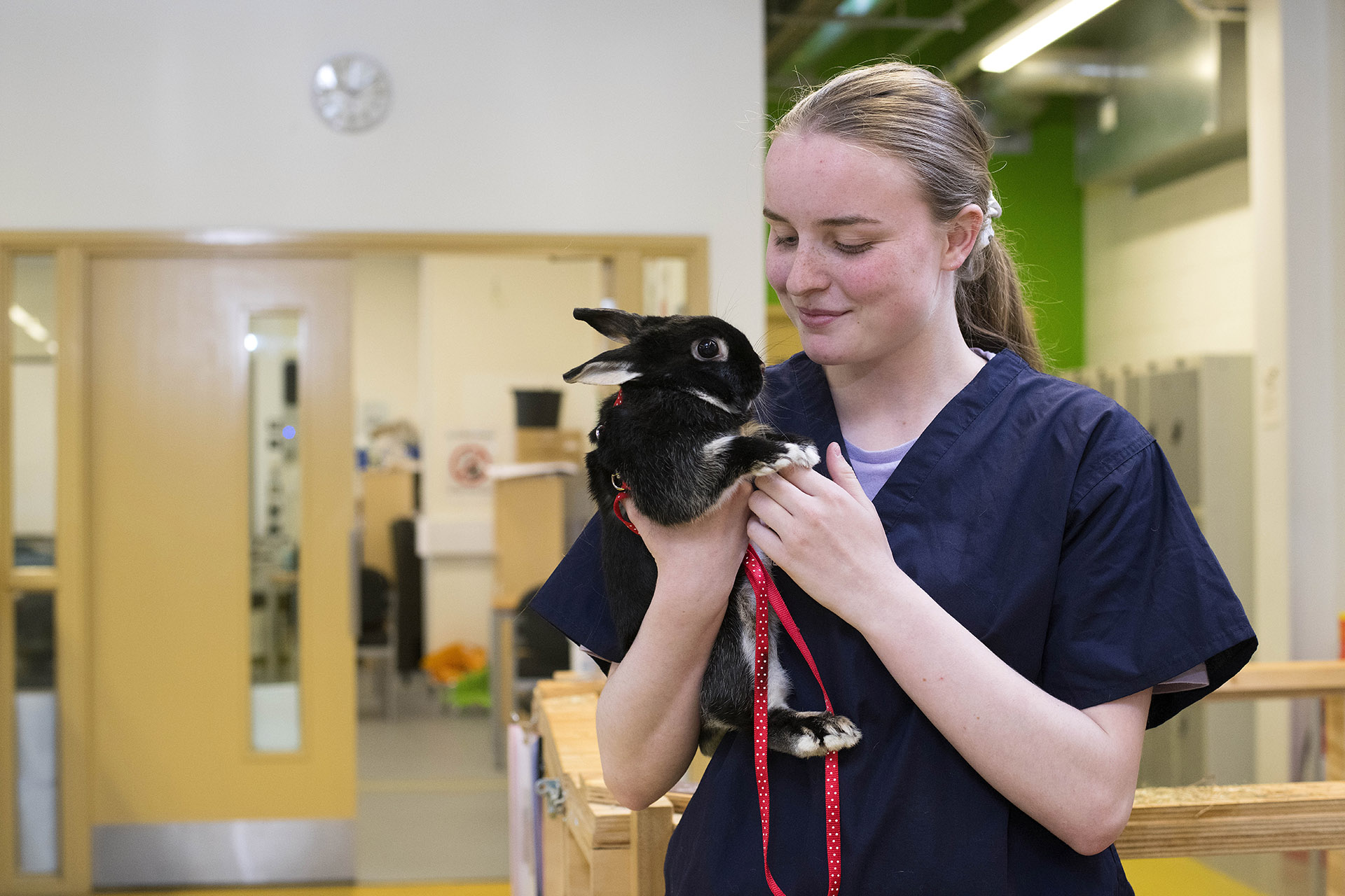 Animal Care Students