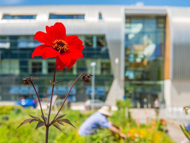 Exterior photo of SBSA campus, gardening and flowers
