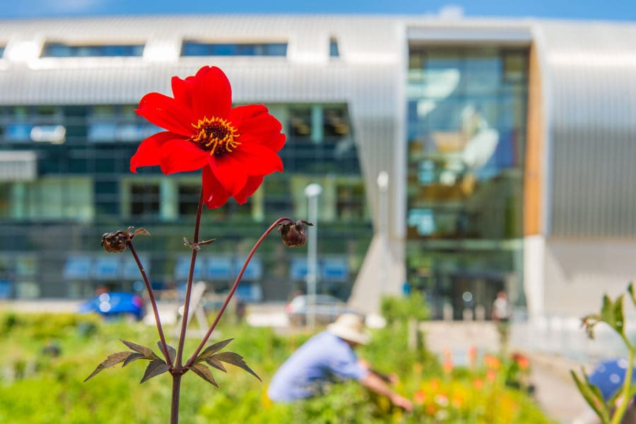 Exterior photo of SBSA campus, gardening and flowers