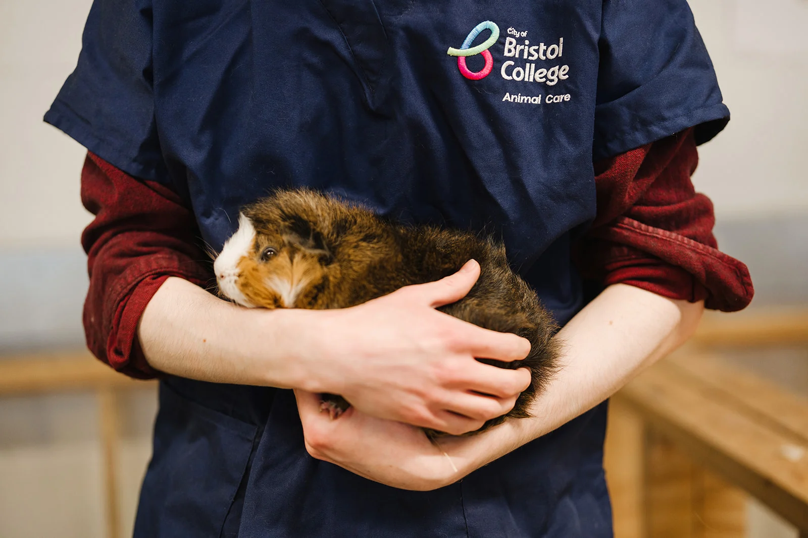 Animal Care Courses for School Leavers