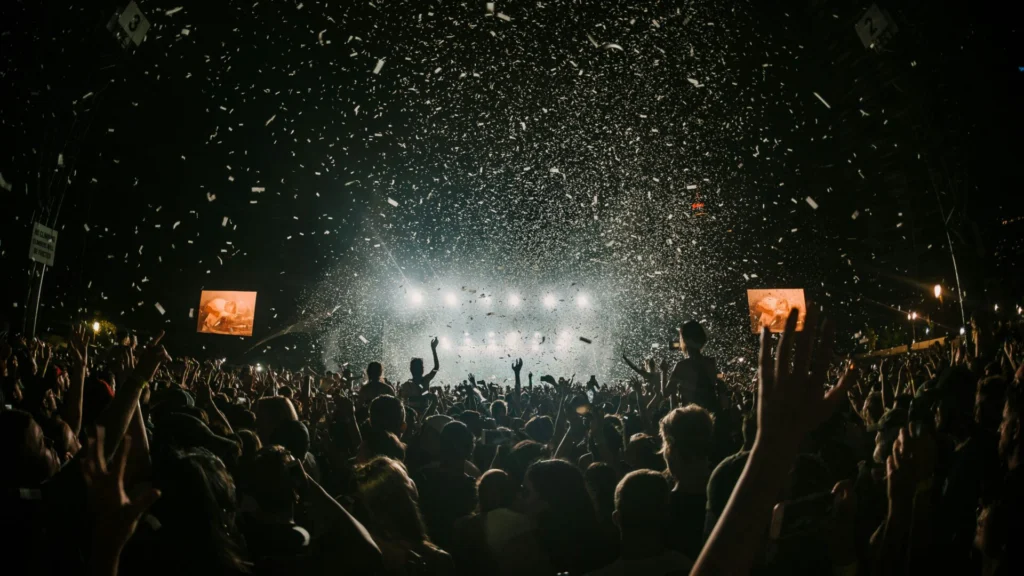 Back view of a night time concert