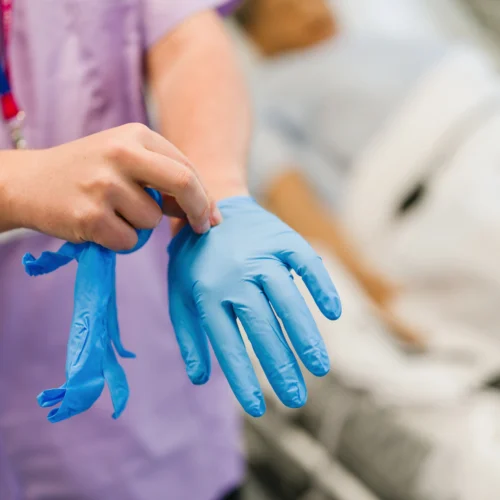 Student putting on a pair of blue medical/laboratory gloves