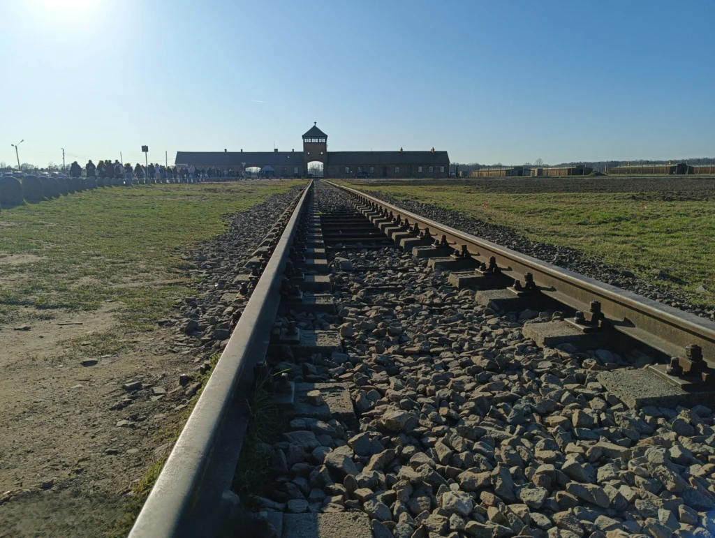 Image shows the train tracks that lead to the entrance of the Auschwitz camp.