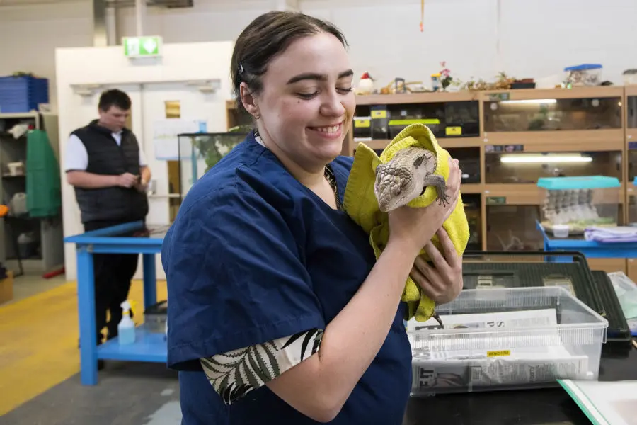 Animal Care and Management T Level