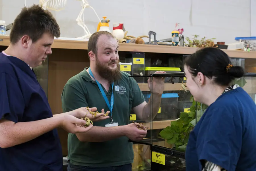 Animal Care (Transition)) Entry Level 3