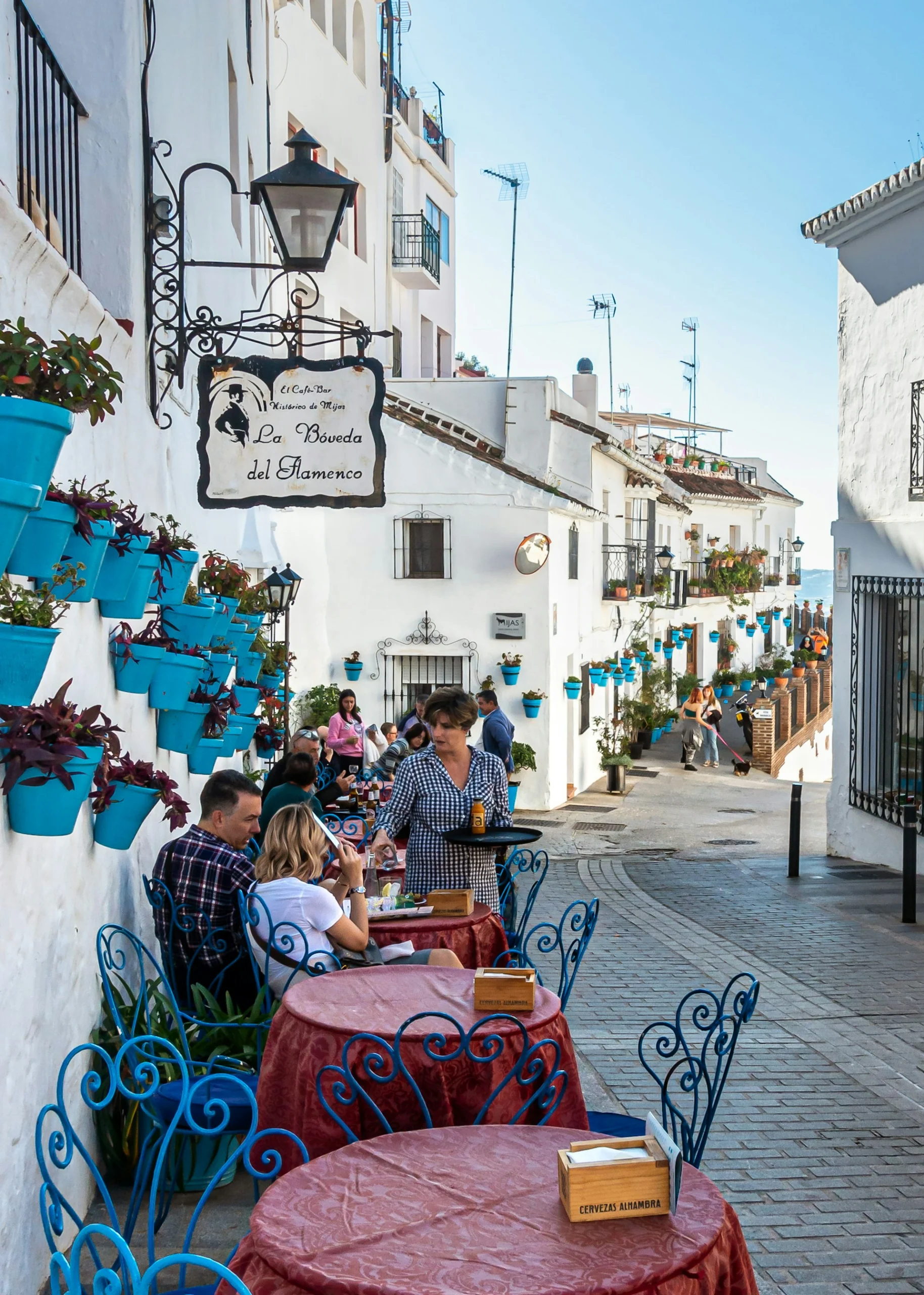 Spanish Beginners Plus